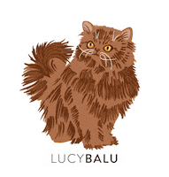 Cat Persian Sticker by LucyBalu
