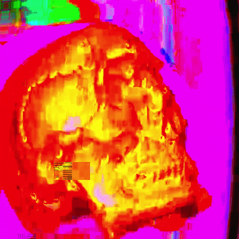 MattyFurious giphyupload glitch vhs skull GIF