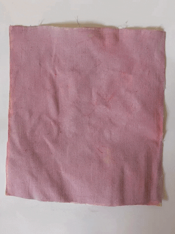 LauBLau giphyupload GIF