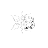 Carp Carpfishing Sticker by DNA Baits