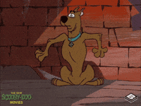 Scared GIF by Boomerang Official