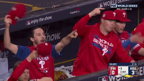 World Series Baseball GIF by MLB