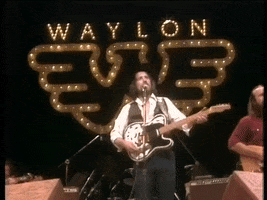 Country Music Guitar GIF by tylaum