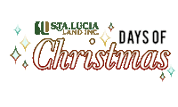 Christmas Countdown Sticker by stalucialandph