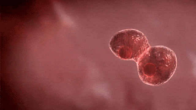 asudeasar giphyupload GIF