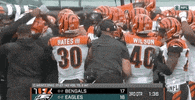 Regular Season Football GIF by NFL