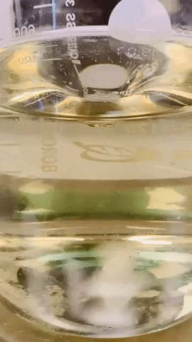 leskeno  GIF