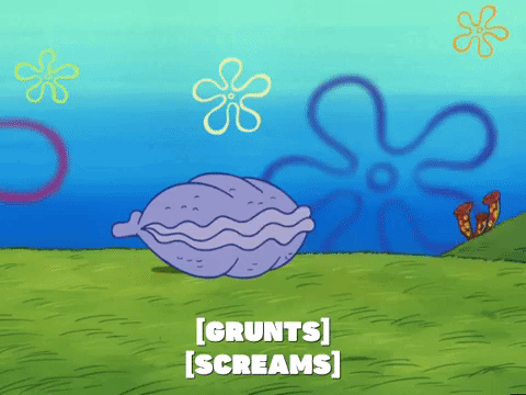 season 4 GIF by SpongeBob SquarePants