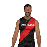 Dons Bombers Sticker by Essendon FC