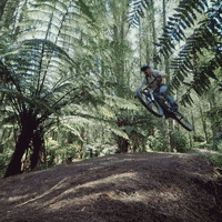 Game Danceoff GIF by Pure New Zealand