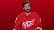 Red Wings Sport GIF by Detroit Red Wings