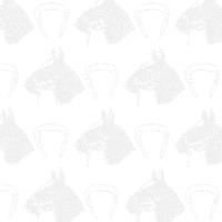 Live Music Horse Sticker by First Avenue & 7th St Entry