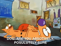 nicksplat GIF