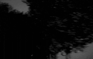 jean-luc godard GIF by Maudit