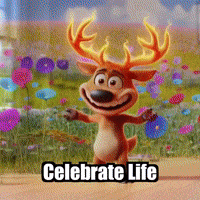 Celebration Joy GIF by elkijahspark