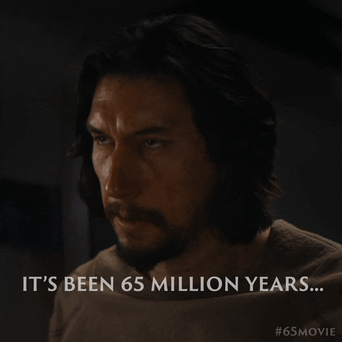 Adam Driver GIF by Sony Pictures