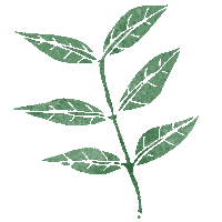 Plant Leaf Sticker by Alohasana