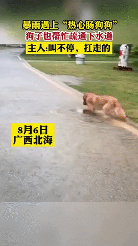 cuteanimalland giphyupload GIF