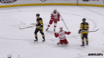 Happy Red Wings GIF by NHL