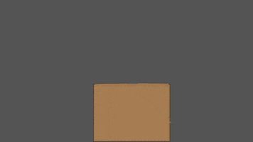 Nuexperience GIF by Northeastern University