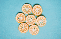 DrinkWaku lemon GIF