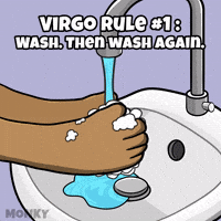 Cant Touch This Wash Hands GIF by Wise Monkey Meme