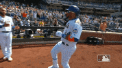 High Five Ny Mets GIF by New York Mets