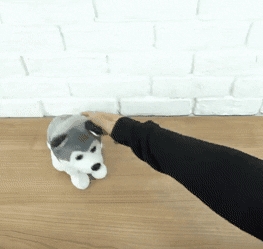 marashop giphyupload GIF