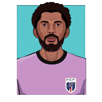 World Cup Football Sticker by Panini America