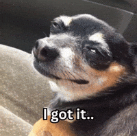 I Got It Funny Dog GIF