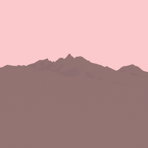 GIF by Borrachas
