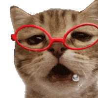 Hungry Cat Sticker
