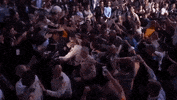 ufc 229 nurmagomedov GIF by UFC