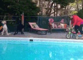Video gif. Woman is riding a toddler bike next to a pool. Suddenly, one of the wheels pops off and she falls into the pool.