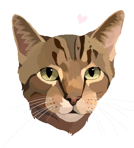 Cat Adopt Sticker by Watertown Humane Society