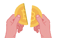 Bitcoin Crypto Sticker by BISONApp