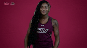 southern illinois mvc GIF by Missouri Valley Conference