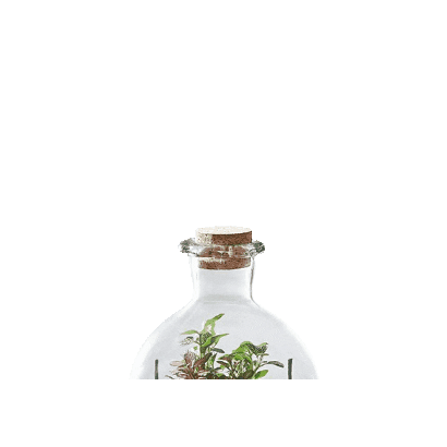 Greenbubbleschweiz giphygifmaker terrarium greenbubble kleinesuniversum Sticker