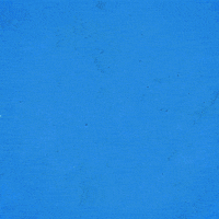 Recherche New Video GIF by CoastGuardCan