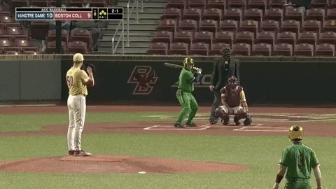 typicalbaseballfan giphyupload GIF