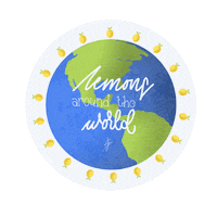 Lemonsbylauren Sticker
