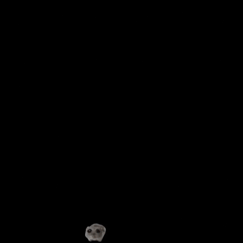 Movement Memecoin GIF by Sad Hamster