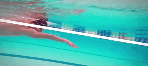 skillsnt giphyupload GIF