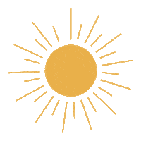 Sun Shine Sticker by Sheridan Rose Co.