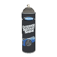 Detailing Car Care Sticker by Hi-Lustre Products