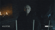 Hbo GIF by Game of Thrones