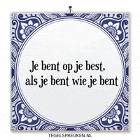 Nl Trots GIF by Tegelspreuken.nl