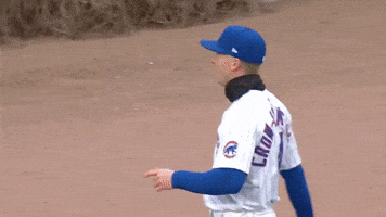 Chicago Cubs No GIF by TheDreamTeam 