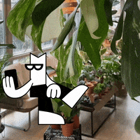 Books Read GIF by Bookmate