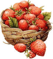 fruits STICKER